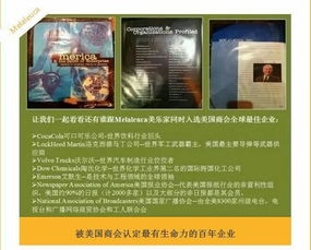 商界巅峰 日用百货销售的辉煌历程